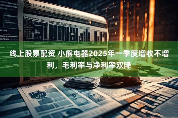 線上股票配資 小熊電器2025年一季度增收不增利，毛利率與凈利率雙降
